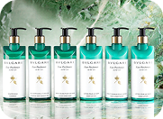 Bvlgari Vert